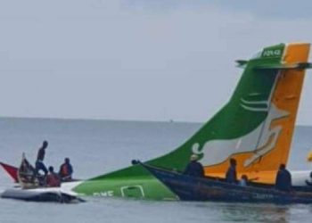 В Танзании упал пассажирский самолет