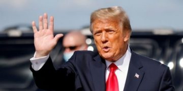 Илон Маск запустил опрос о возвращении Трампа в Twitter