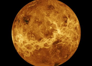 Венера стала “зловещим” близнецом Земли