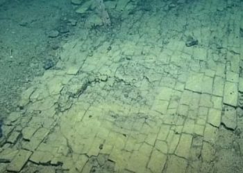 Под толщей Тихого океана обнаружили “дорогу из желтого кирпича”