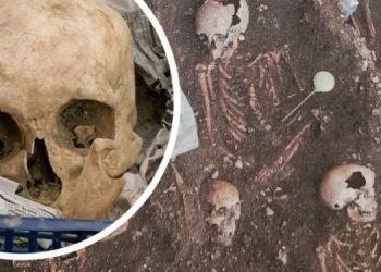 Археологи нашли захоронение с сотнями тел