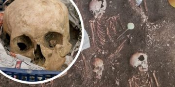 Археологи нашли захоронение с сотнями тел