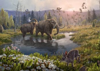 Найдена ДНК целого леса и всех его обитателей