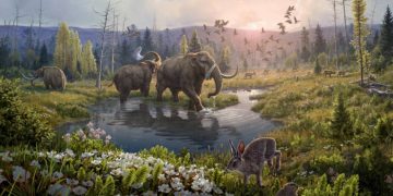 Найдена ДНК целого леса и всех его обитателей