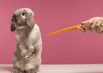 Как найти любовь и удачу в 2023