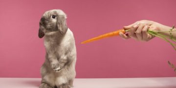 Как найти любовь и удачу в 2023