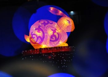 Какие цвета выбрать для новогоднего наряда и декора?