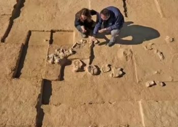 Древние страусиные яйца нашли у костра кочевников