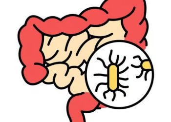 Температура нашего тела снижается с каждым годом