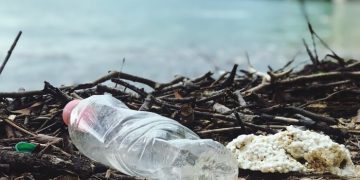 Ученые используют мусор для производства лекарств