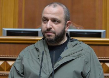 Умеров опроверг заявления о крупном наступлении России