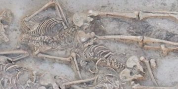 В Словакии нашли десятки обезглавленных тел