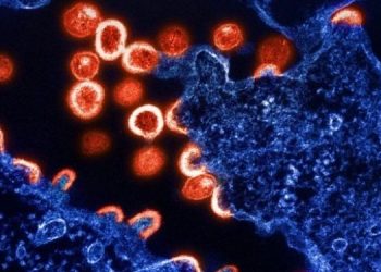 Экспериментальная вакцина против ВИЧ