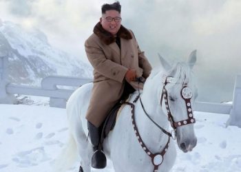 Армия КНДР закупила у России лошадей