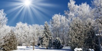 Синоптики прогнозируют аномальное потепление в Украине