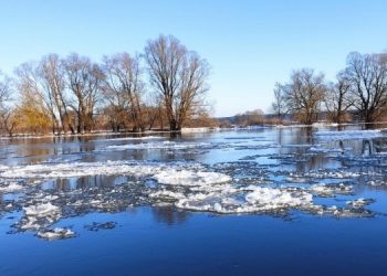 В Черниговской области наводнения