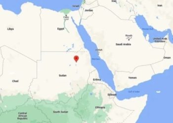 Самое большое генеалогическое древо