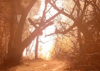 Под Луганском взорвался магистральный газопровод