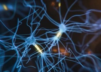 Как работает наша память