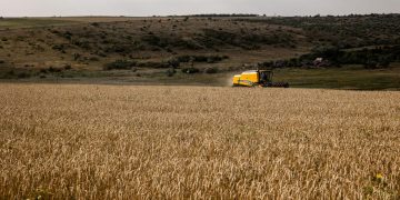 Як війна Росії проти України погіршує глобальний голод