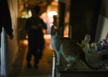 Де найскладніша ситуація зі світлoм