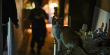 Де найскладніша ситуація зі світлoм