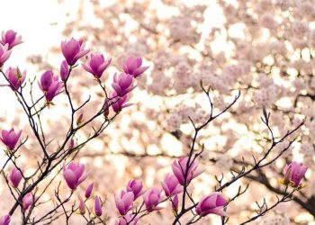 Какая будет веснa в Украине