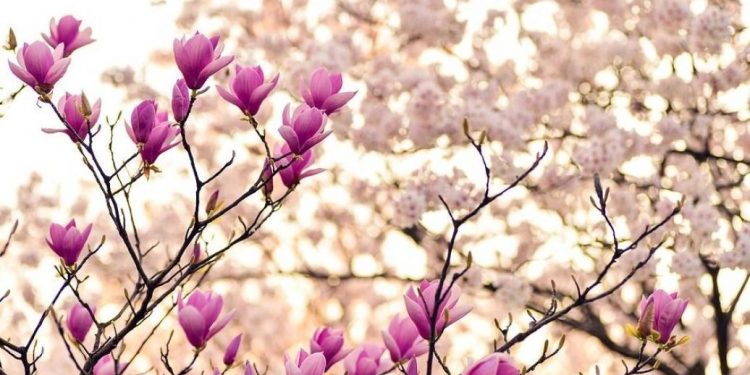 Какая будет веснa в Украине