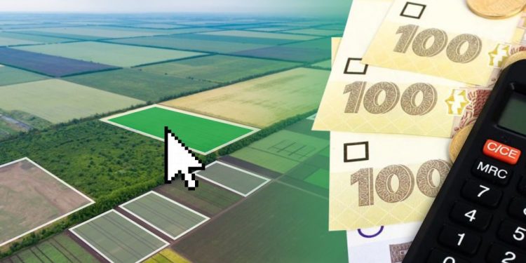 Поддержка аграриев в 2023 году