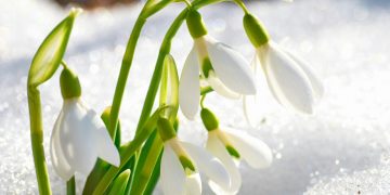 Что ждет украинцев в марте 2023 года