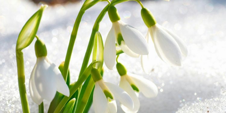 Что ждет украинцев в марте 2023 года