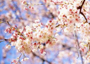 На які зміни чекати у квітні 2023 року