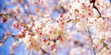 На які зміни чекати у квітні 2023 року