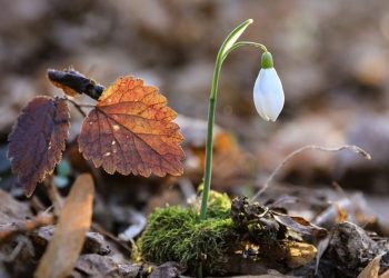 Що чекає на українців у березні 2023 року