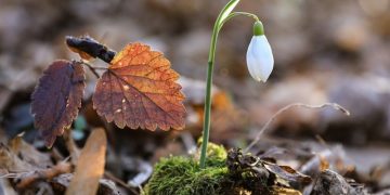 Що чекає на українців у березні 2023 року