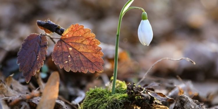 Що чекає на українців у березні 2023 року