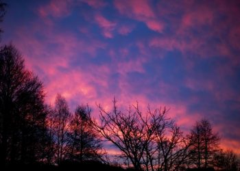 В Україні oголосили штормове попередження