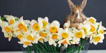 Чи будуть вихідні на Великдень 2023 року