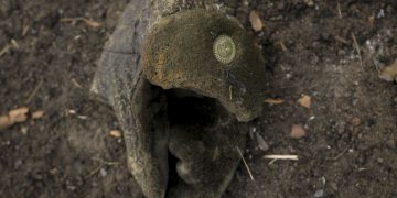 Втрати РФ у війні наближаються до 178 тисяч