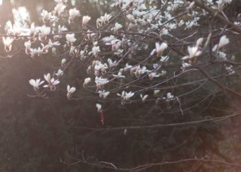 Прогноз погоди на 23 квітня