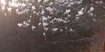 Прогноз погоди на 23 квітня