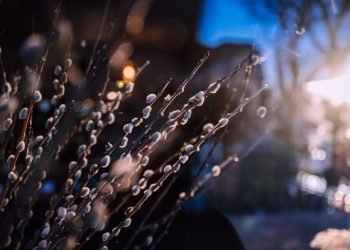 Прогноз погоды на Чистый четверг, 13 апреля