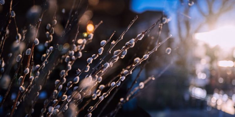 Прогноз погоды на Чистый четверг, 13 апреля