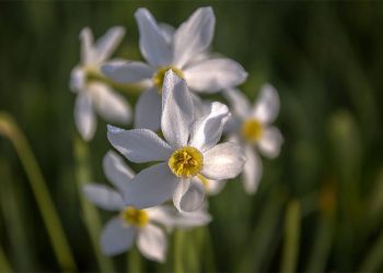 Прогноз погоди на 12 квітня