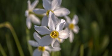 Прогноз погоди на 12 квітня