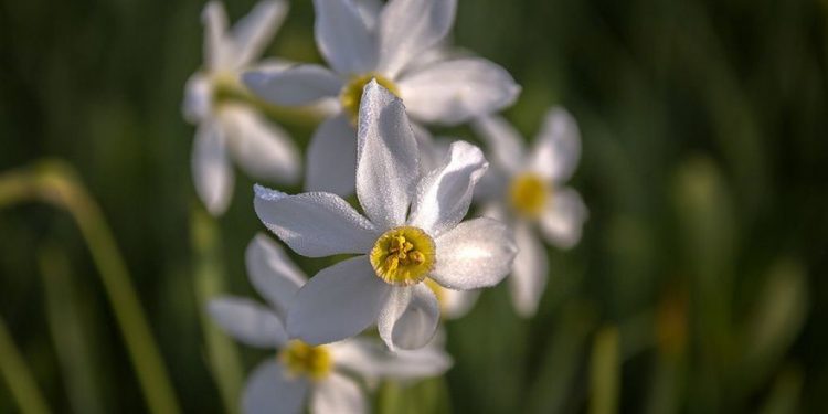 Прогноз погоди на 12 квітня