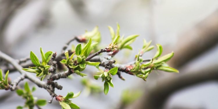 Прогноз погоди на 26 квітня