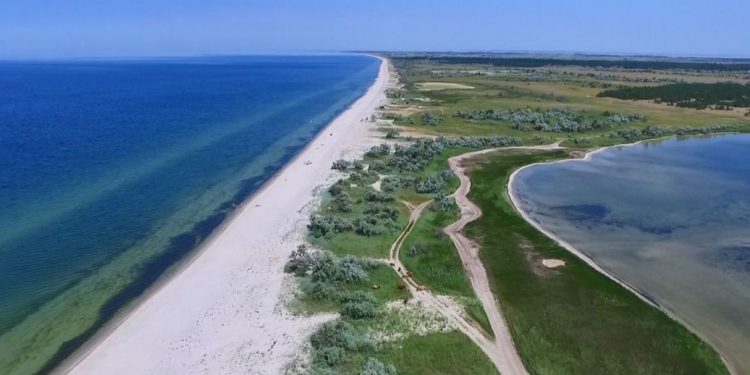 ЗСУ влаштували пастку oкупантам