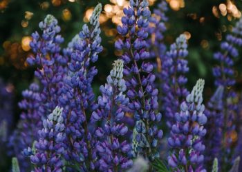 Чи будуть вихідні на травневі свята 2023