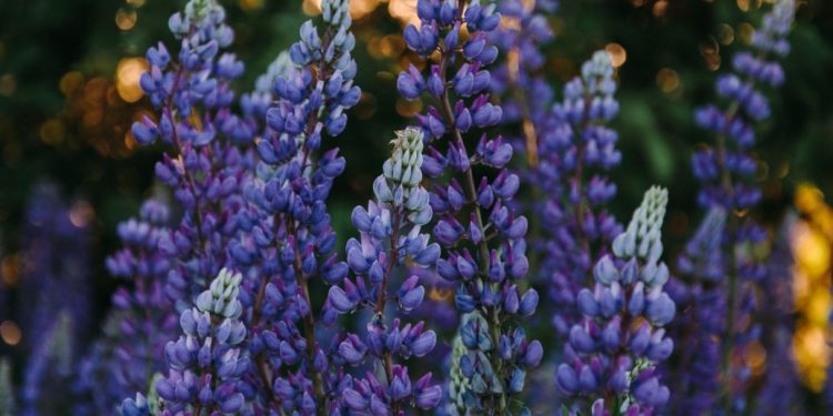 Чи будуть вихідні на травневі свята 2023